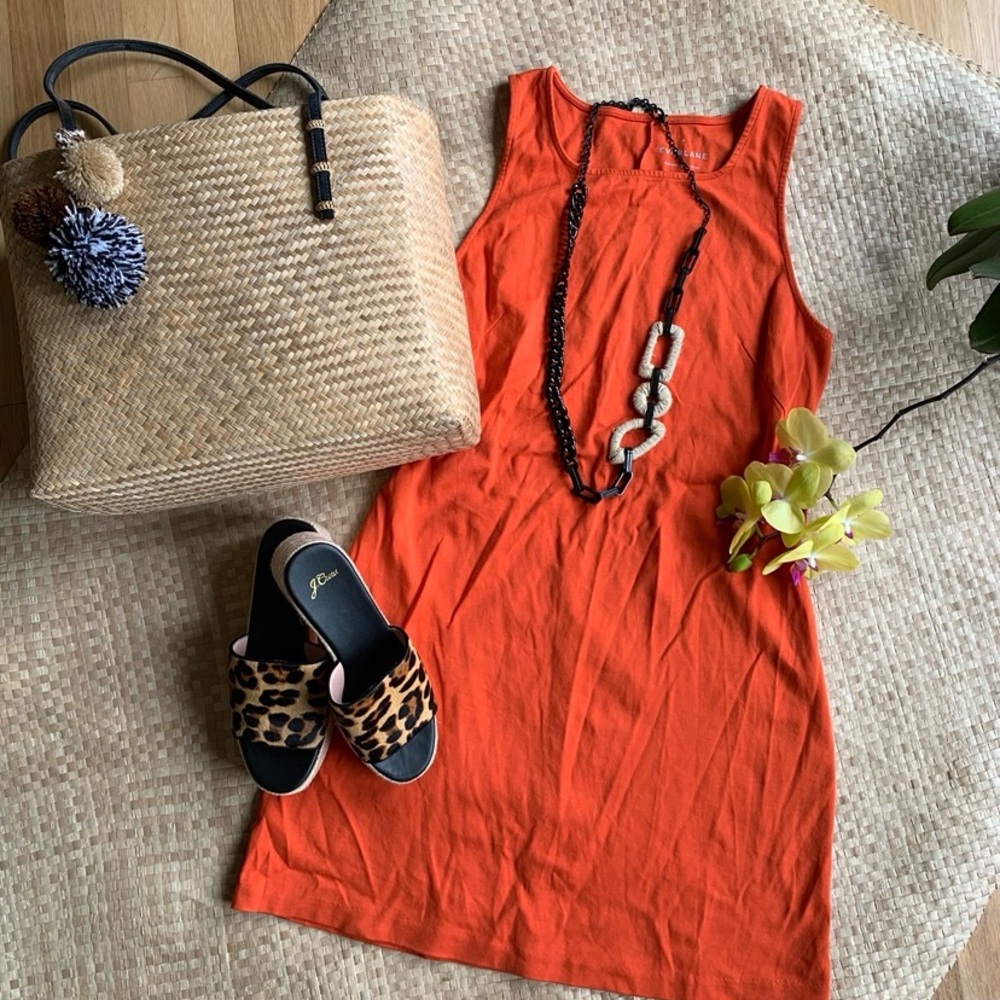 Everlane Vibrant Orange Dress
